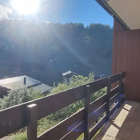 Lumineux Pres Des Pistes, Acces Piscine, Animaux Acceptes - Fr-1-181-2869 Apartman