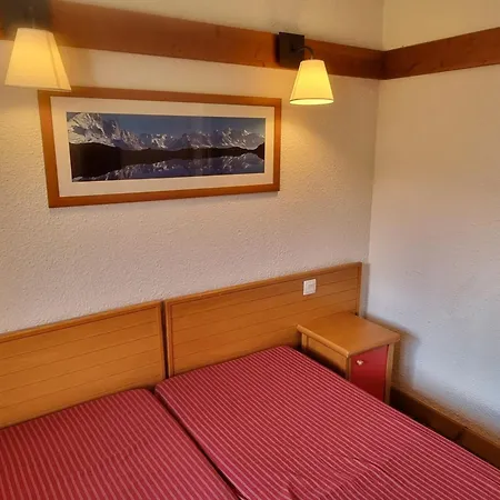 Lumineux Pres Des Pistes, Acces Piscine, Animaux Acceptes - Fr-1-181-2869 La Plagne-Tarentaise