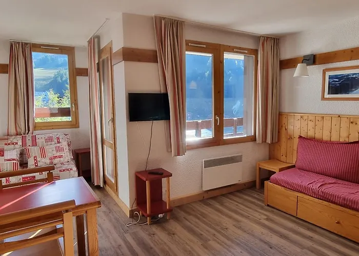 Lumineux Pres Des Pistes, Acces Piscine, Animaux Acceptes - Fr-1-181-2869 * La Plagne-Tarentaise