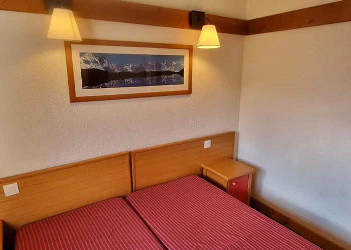 Lumineux Pres Des Pistes, Acces Piscine, Animaux Acceptes - Fr-1-181-2869 La Plagne-Tarentaise